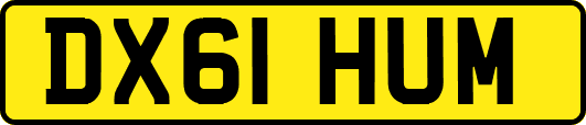 DX61HUM
