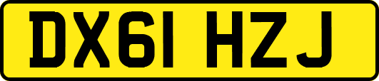 DX61HZJ