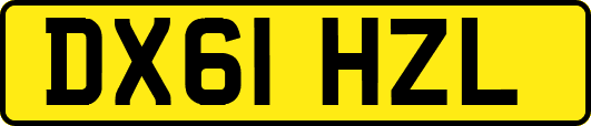 DX61HZL