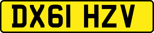 DX61HZV