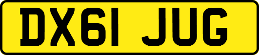 DX61JUG