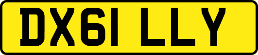 DX61LLY