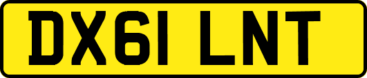 DX61LNT