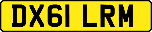 DX61LRM
