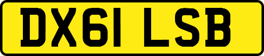 DX61LSB
