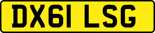 DX61LSG