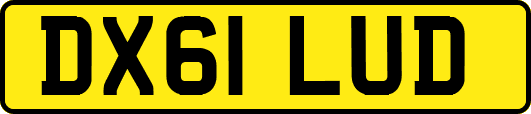 DX61LUD
