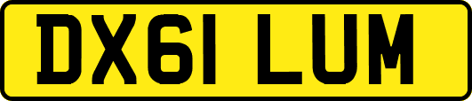 DX61LUM