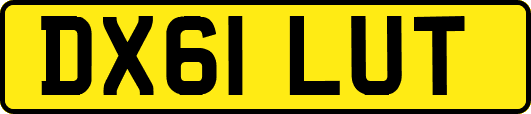 DX61LUT