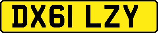 DX61LZY