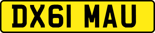 DX61MAU