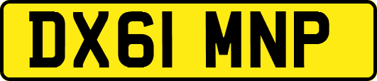DX61MNP