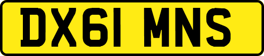 DX61MNS