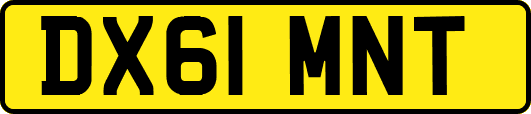 DX61MNT