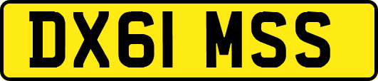 DX61MSS