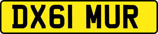 DX61MUR