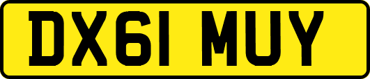 DX61MUY
