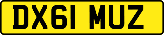 DX61MUZ