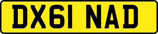 DX61NAD