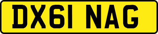 DX61NAG