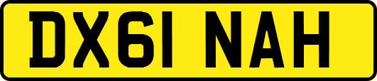 DX61NAH