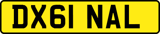 DX61NAL