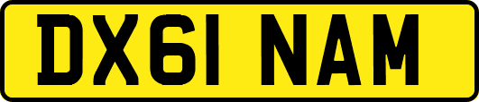 DX61NAM