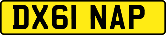 DX61NAP