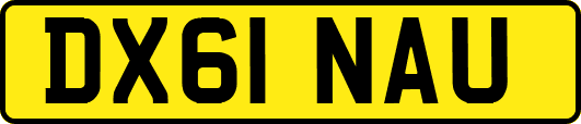 DX61NAU
