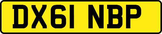DX61NBP