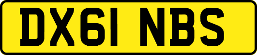 DX61NBS