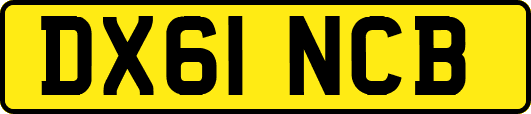 DX61NCB