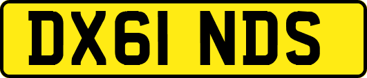 DX61NDS