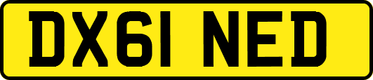 DX61NED