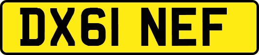DX61NEF
