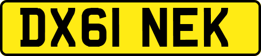 DX61NEK