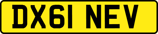 DX61NEV