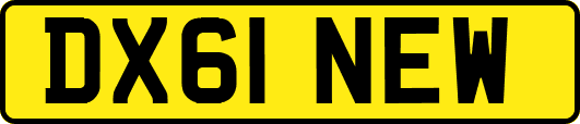 DX61NEW