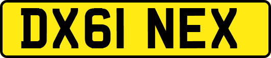 DX61NEX