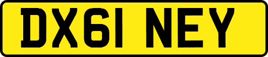 DX61NEY