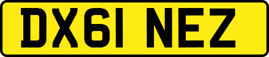DX61NEZ