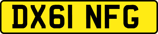 DX61NFG