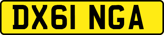 DX61NGA