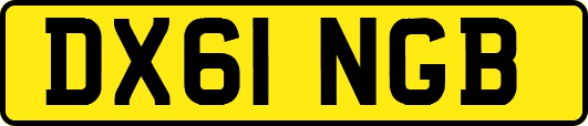 DX61NGB