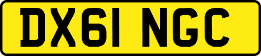 DX61NGC
