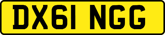 DX61NGG
