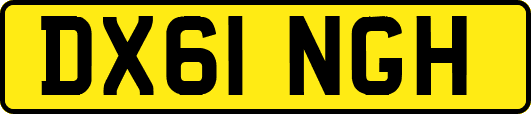 DX61NGH