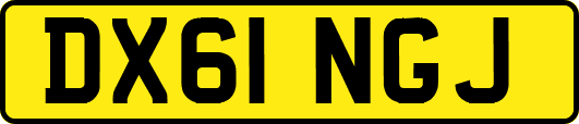 DX61NGJ