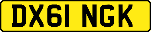 DX61NGK