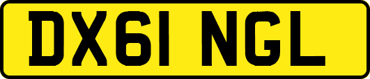 DX61NGL